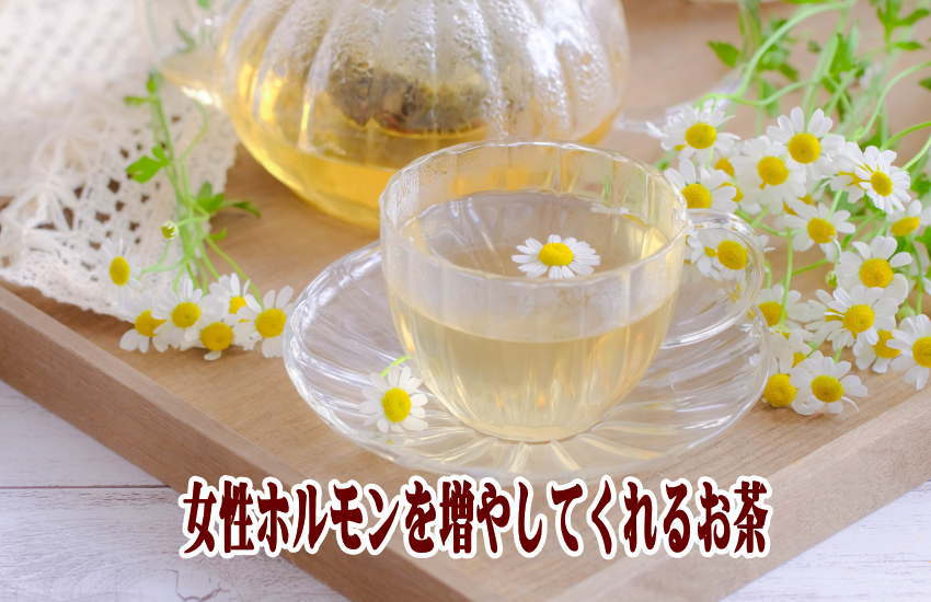女性ホルモンを増やしてくれるハーブティー